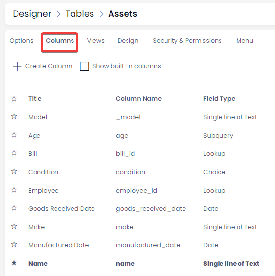 A screenshot that demonstrates how to use Designer to view the columns built into the Assets table.